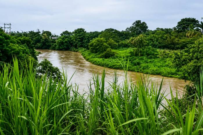 Entre las principales recomendaciones, el Sinaproc instó a la población a no cruzar ríos, quebradas o calles inundadas, debido al peligro que representan las corrientes de agua durante las lluvias.