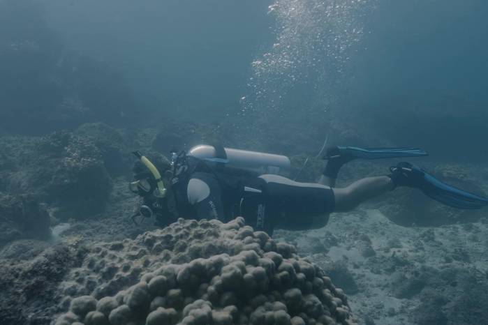 Buceo de inspección.