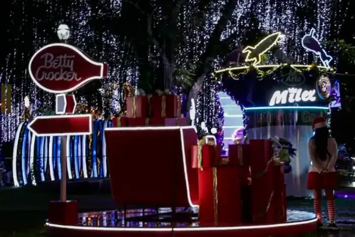 Iluminación en Navidad 2024.
