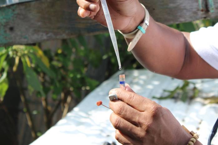 Las autoridades sanitarias advirtieron que estas cifras reflejan el impacto que puede tener la influenza en poblaciones vulnerables.