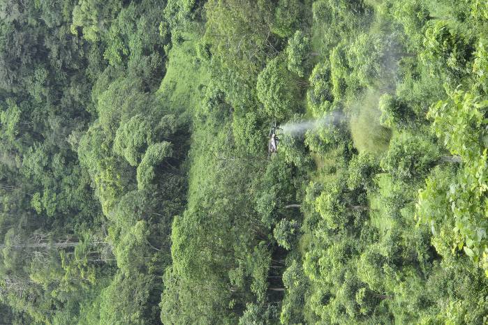 Los drones aplican diferentes productos de forma precisa.