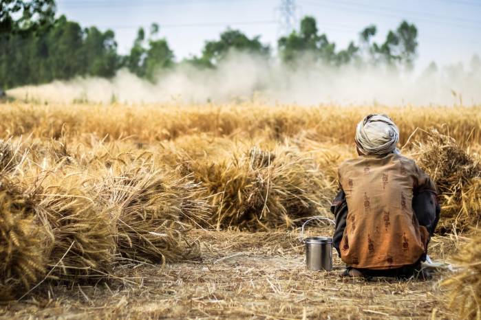 El trabajo infantil en las actividades agropecuarias