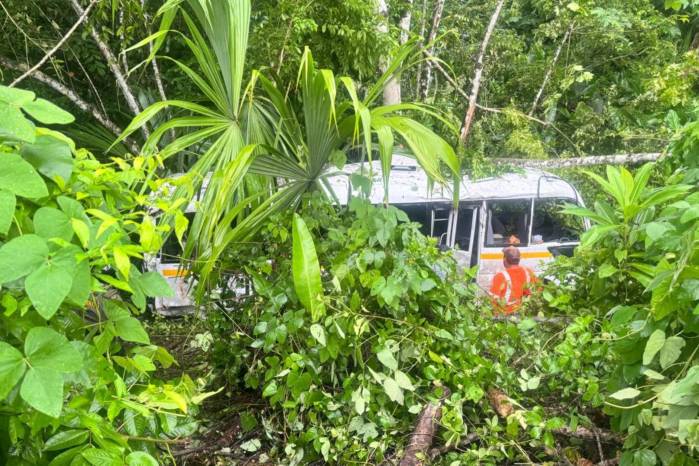 El SNM señaló que el resto de los migrantes y los inspectores migratorios que viajaban en el autobús reciben atención integral.