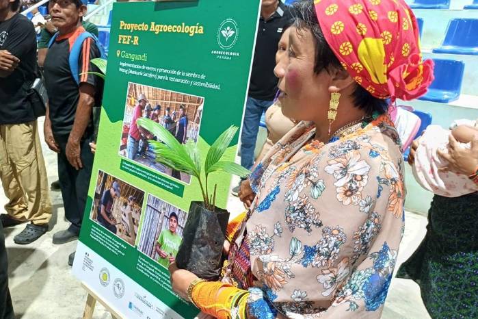 El proyecto tuvo como objetivo fortalecer la resiliencia agrícola y la seguridad alimentaria de comunidades Guna vulnerables a los impactos del cambio climático.