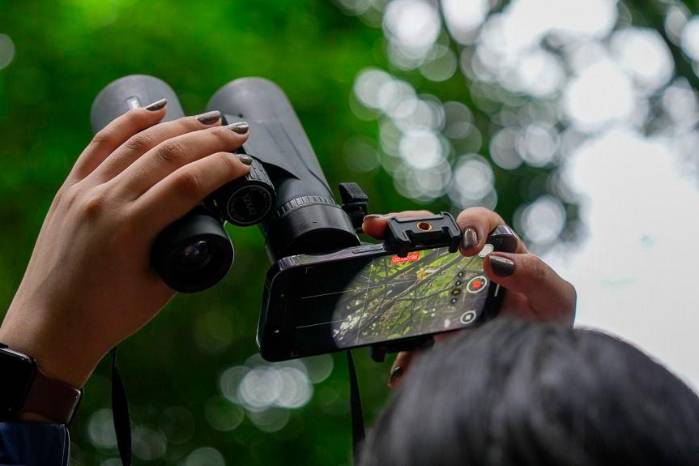 La jornada global de observación de aves que reúne a miles de personas.