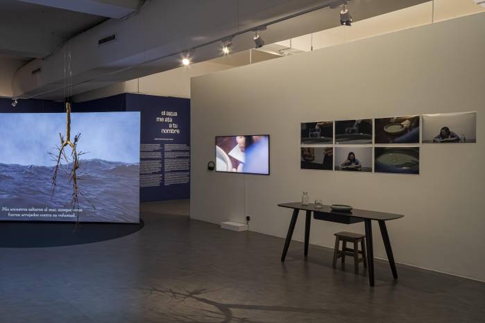 El agua me ata a tu nombre, curaduría de Jennifer Choy, MAC Panamá.