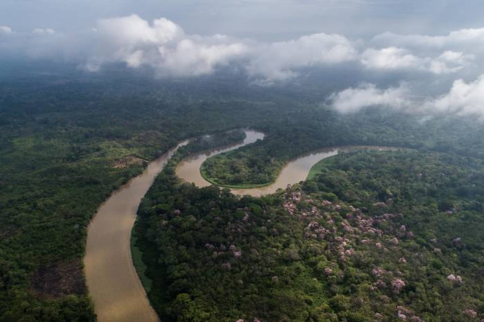 Son sumideros de carbono.