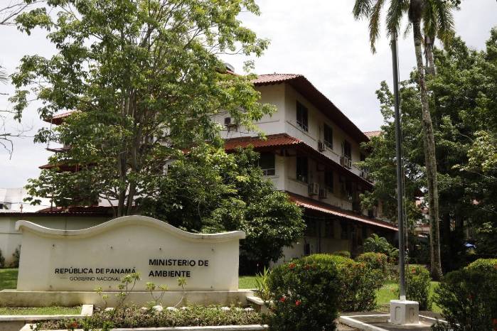 La tenencia de animales silvestres está prohibida en Panamá según la Ley 24 de 7 de junio de 1995, conocida como Ley de Vida Silvestre.