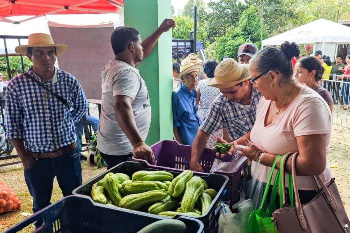 Estas ferias permiten a la población comprar comida económica en Panamá, con productos de primera necesidad a precios accesibles.