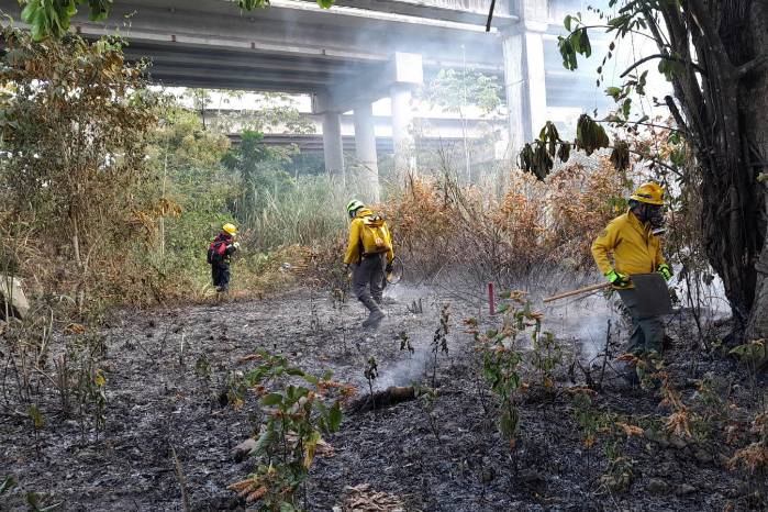 El repunte de siniestros en plena sequía mantiene en alerta a los equipos de emergencia.