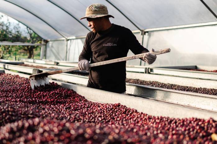 Hacienda La Esmeralda, referente mundial dentro de la industria.