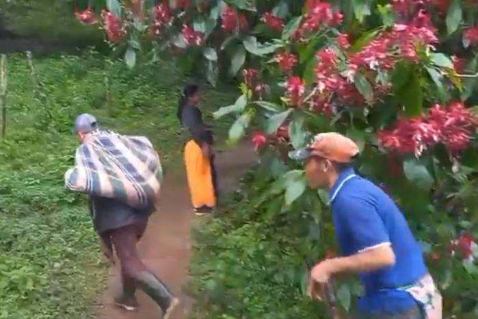 Este 27 de octubre se reportó que dos niñas, de 5 y 8 años, fallecieron al ser arrastradas por una cabeza de agua en la comunidad de Cascabel.