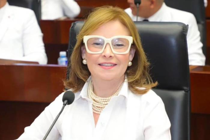 Thomas señaló que uno de los proyectos que continuará en agenda es la implementación del registro público de ofensores sexuales.