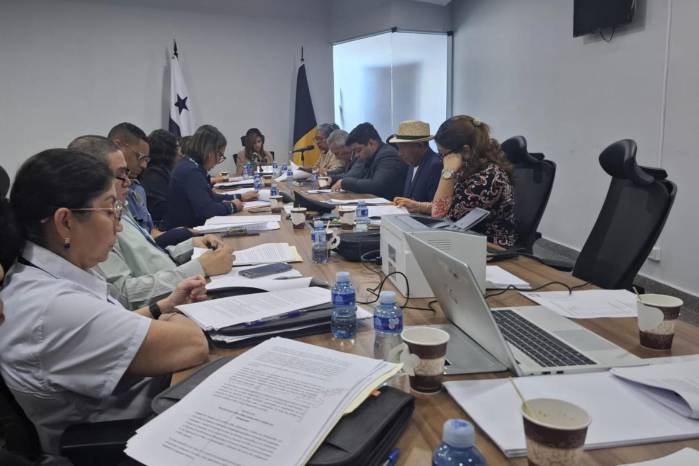 Las declaraciones de Brenes se dieron precisamente al culminar una mesa técnica en la que se discute un proyecto de ley que regularía la apertura y funcionamiento de los centros de acogimiento institucionales.