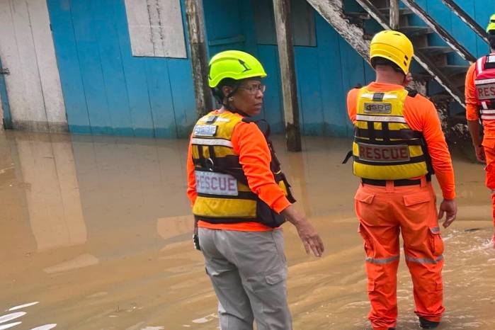 El reporte también detalla la caída de 12 árboles.