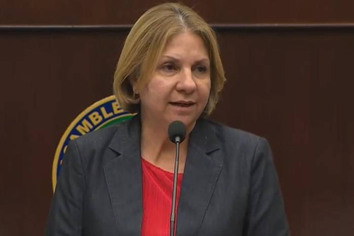 La iniciativa pretende proteger a quienes se manifiestan de forma legítima, evitando que terceros distorsionen las protestas con actos violentos.