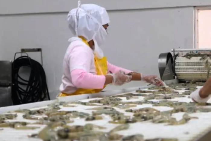 Los datos utilizados en el informe provienen del Instituto Nacional de Estadística y Censo de Panamá.