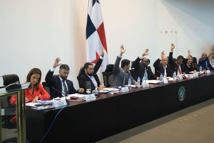 Elección del nuevo defensor del Pueblo pone en aprieto a la Asamblea Nacional