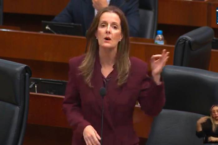 Janine Prado, Diputada de la República.