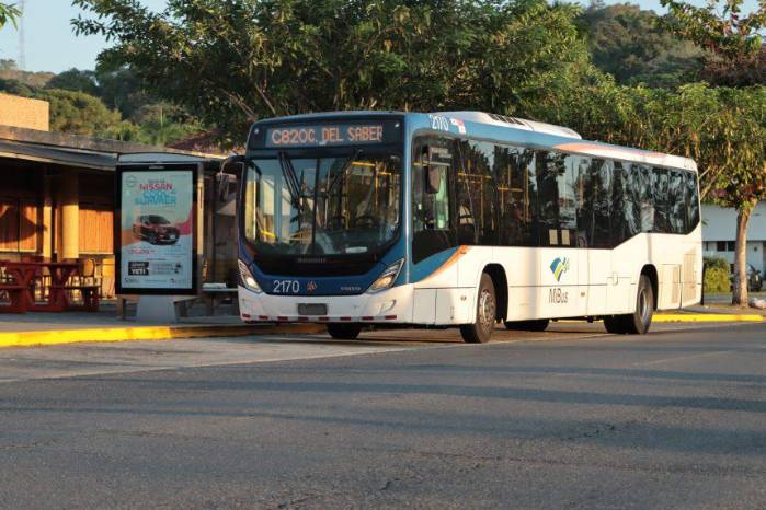 MiBus confirma activación de transporte gratuito.