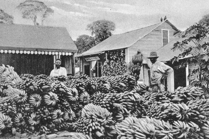 La industria bananera llegó a Centroamérica a finales del siglo XIX y estableció una lógica de enclave.