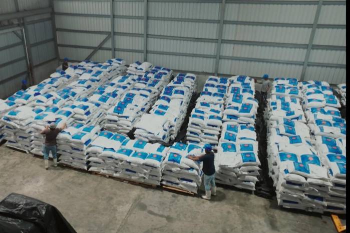 La Zona Franca Pesquera del Pacífico, ubicada en Tanara, distrito de Chepo, procesa aproximadamente 300 mil libras semanales de pescado congelado.