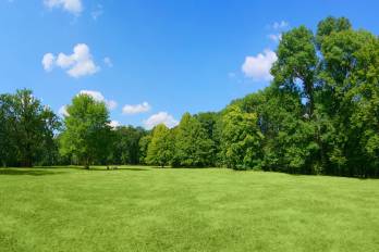 El medio ambiente garantiza la existencia del ser humano.
