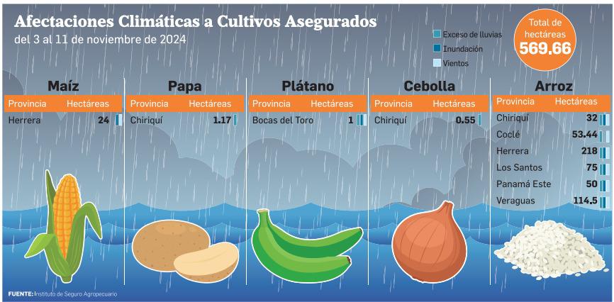 ISA: arroz, pl&aacute;tano, papa, cebolla y ma&iacute;z, los cultivos m&aacute;s afectados por las lluvias