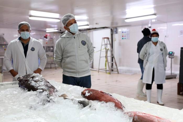 Entre los bienes panameños exportados al Caribe está el pescado fresco, incluyendo pargo, cherna y dorado.
