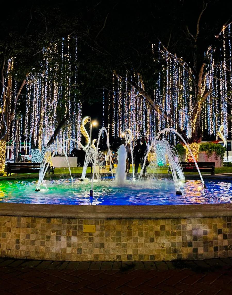 El contrato contempla la decoración de 35 parques y espacios públicos distribuidos en 22 corregimientos del distrito de Panamá.