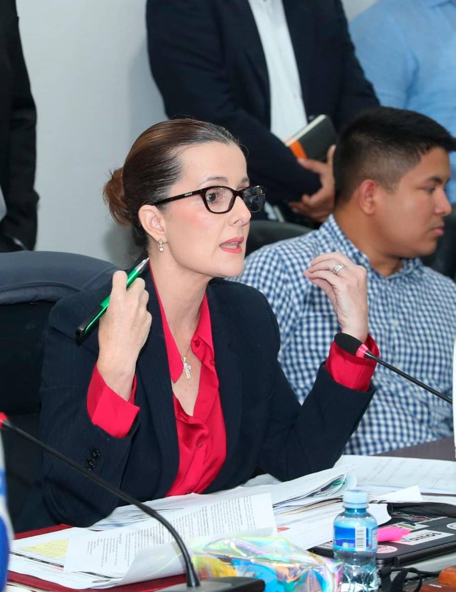 Jannine Prado, diputada de la bancada de Vamos.