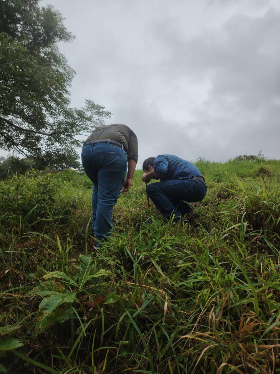 Las mediciones de campo y las muestras de suelo forman parte de la investigación sobre los efectos del terremoto en la comunidad de Búcaro, Tonosí.