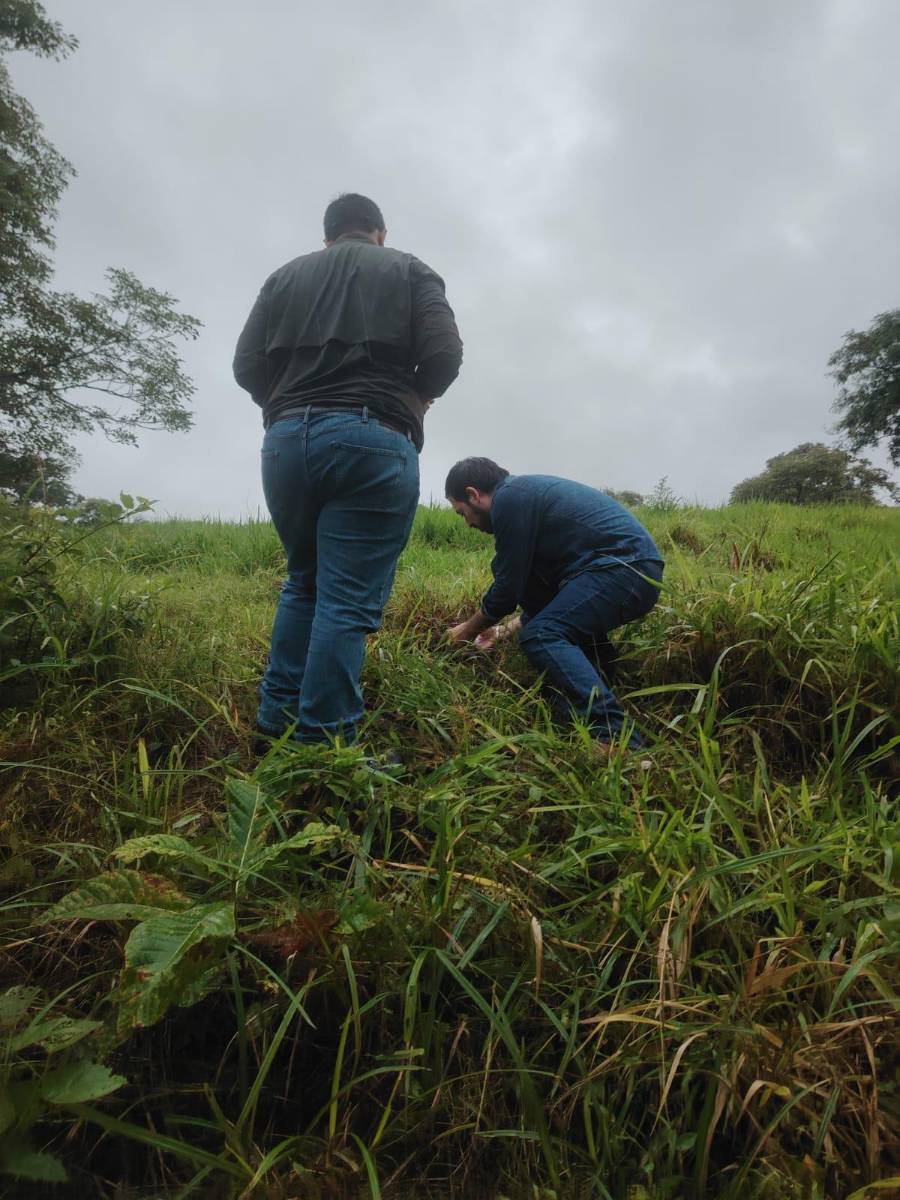 El Dr. Luis Pinzón, en compañía del estudiante Lisando Franceschi, de Ingeniería Civil, mide la abertura del terreno (profundidad, ancho y desnivel) en Búcaro, Tonosí, y obtiene muestra para identificar su granulometría.