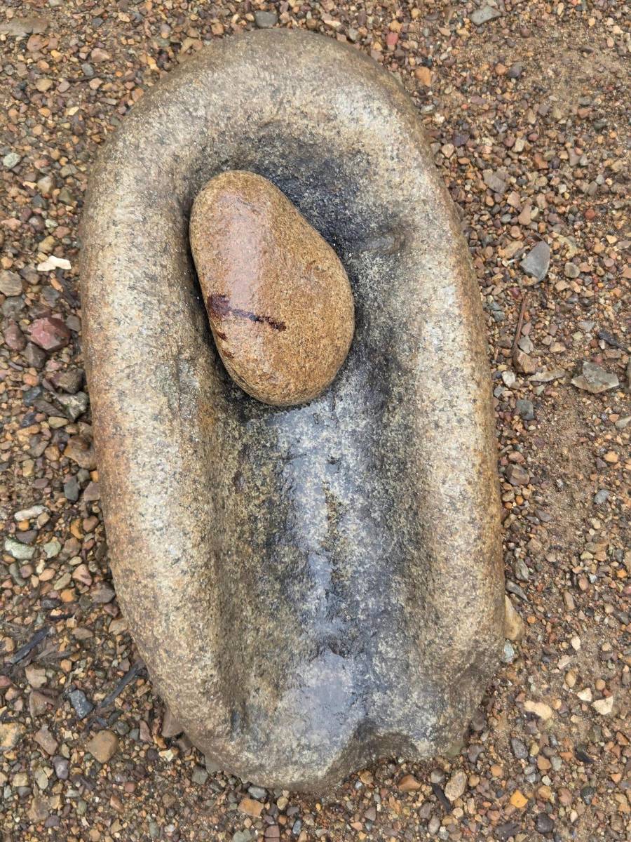Aggwa (piedra) y muu (abuela/partera). Esta piedra de moler representa un objeto de conocimiento y práctica ancestral de las parteras. En ella se procesan plantas medicinales utilizadas para preparar el Muu Ina, la medicina tradicional asociada al cuidado de las mujeres durante el embarazo y el parto.