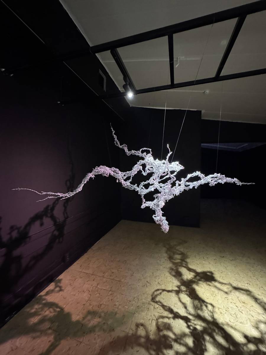 La naturaleza no funciona únicamente como referencia visual: es también una forma de pensar la identidad, sus transformaciones y su resistencia a las categorías rígidas.