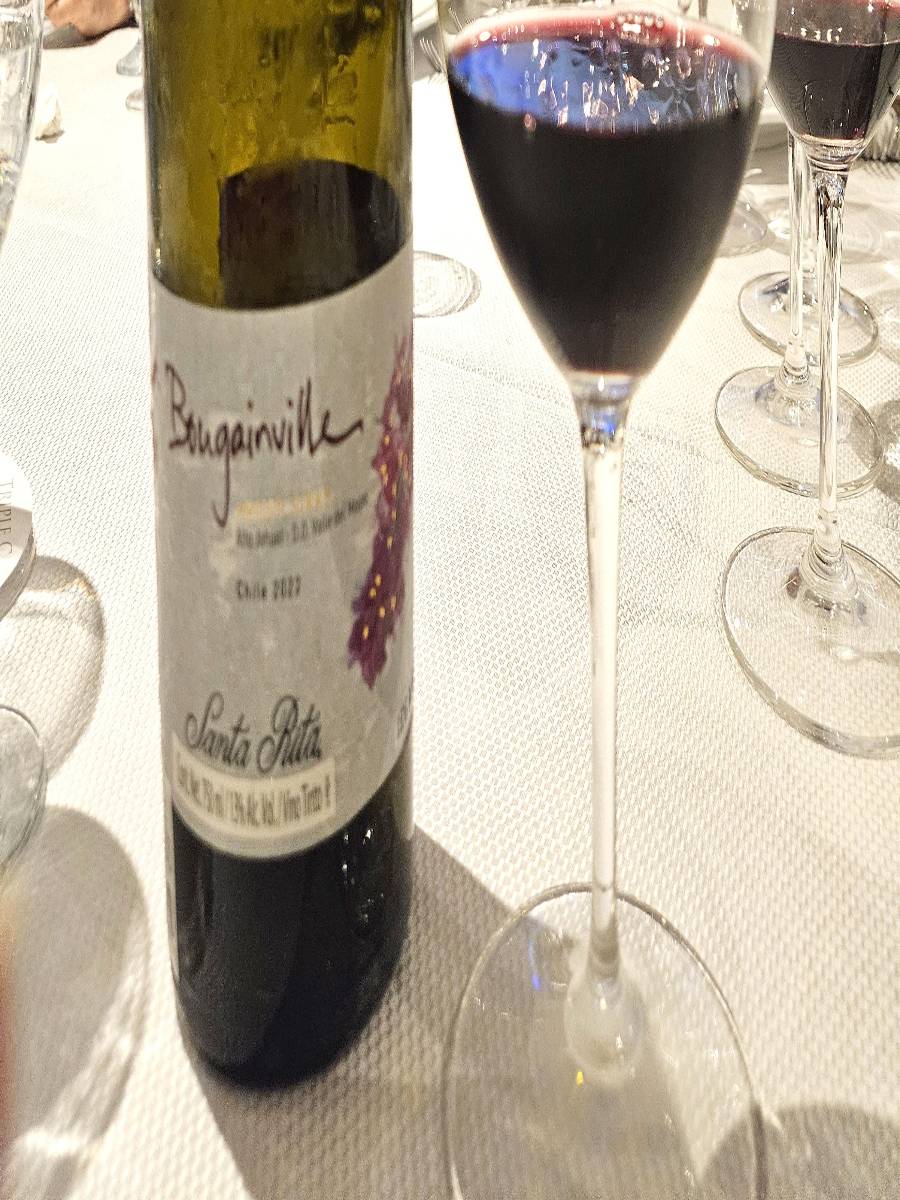 Bougainville, el primer Petit Syrah de alta gama en Chile.