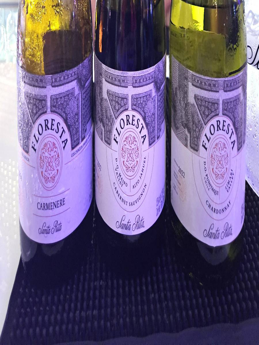 Vinos de la línea Floresta de Santa Rita se ofrecieron con boquitas antes de la cena.