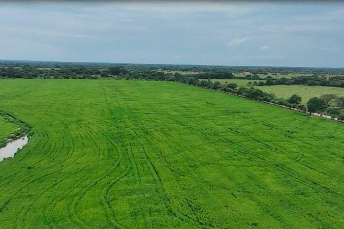 Proyectan que en el Arco Seco se podría registrar una reducción de lluvias que afectará la disponibilidad de agua para riego, el estado de los pastos y la productividad ganadera, especialmente en sistemas extensivos.
