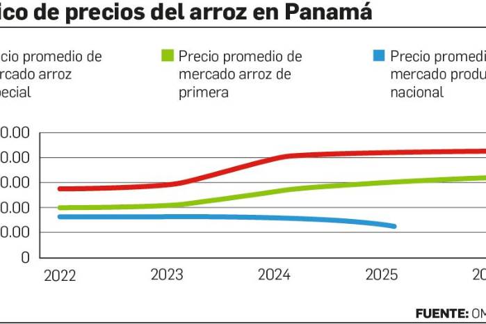 Este análisis centra su mira en la relación entre abastecimiento, consumo y precio al productor, considerando exclusivamente cifras oficiales y los acuerdos de la cadena agroalimentaria del arroz