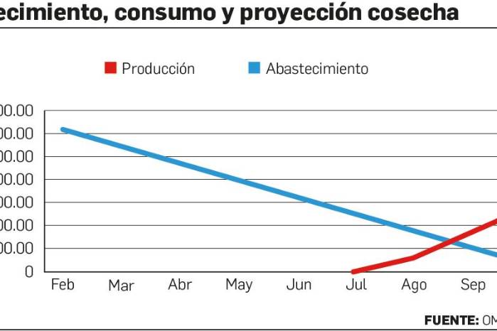 Este análisis centra su mira en la relación entre abastecimiento, consumo y precio al productor, considerando exclusivamente cifras oficiales y los acuerdos de la cadena agroalimentaria del arroz